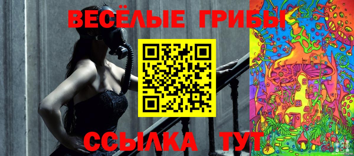 купить наркоту  Псилоцибиновые грибы MAGIC MUSHROOMS  Тавда  Вход с VPN  Псилоцибиновые грибы MAGIC MUSHROOMS 