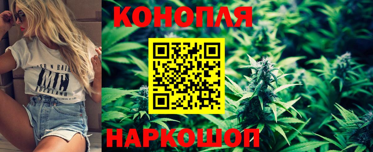 Шишки марихуана Amnesia Тавда
